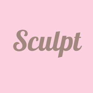 ⌛️ Sculpt Shapewear Ardyss FTC CYSM fajas